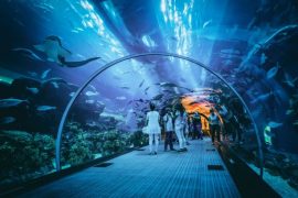 10 Best Things to Do in Dubai For A Fun Trip With Friends