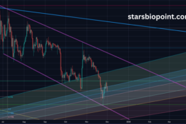 0.00001 btc to usd